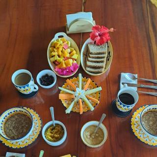 Terra NaturaMa - off grid living in the jungle - 9