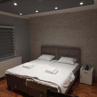 Čavić apartmani - Vršac - 9