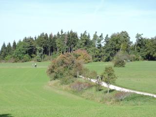 Ferienwohnungen Kätzlehaus - 3