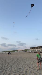 BnB Westerduinen, De Bollekamer - 7