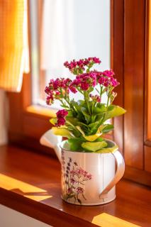 Erdődy Vendégház - 1