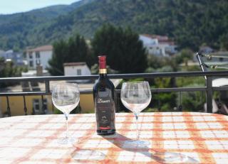 Guesthouse Alemannia - Berat - 1