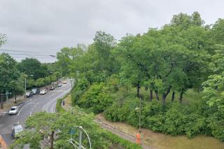 Wohnung in zentraler Lage mit Blick ins Grüne - Erfurt - 3