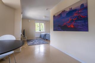 Kotimaailma Aparthotel Villa Hortus Turku - 4