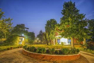 Tribal Wood Resort - Dhanwār - 7