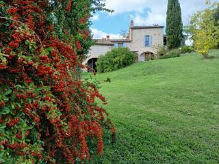 Agriturismo del Frontino - Lo Studio - Acqualagna - 0