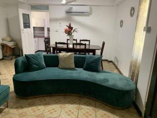 Bula Holiday Home near nadi Airport - Nadi - 2
