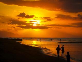 Samastiti villas by the beach Lovina -  - 8