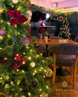 The Falcon Hotel - Bridgnorth - 1