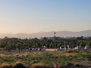 La Perla Blanca - Benijófar - 1