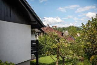 Apartments Villa AnnaMaria - Bled - 6