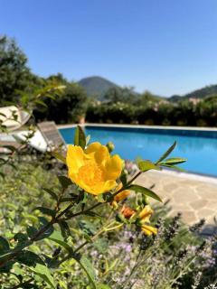 La Casa Gialla - Lucques - 8