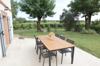 Les Blancs - Au coeur des vignes - Piscine - Lisle-sur-Tarn - 1