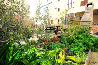 Apartments Oasis - Nin - 1