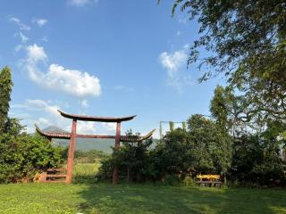 Spring Field - Bapane - 3