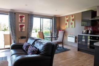 Wild Oats Lodge 7 - Yellowtop Country Park - Hot Tub - Yorkshire - 9