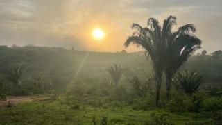 Chalés Samambaia 1 - 2