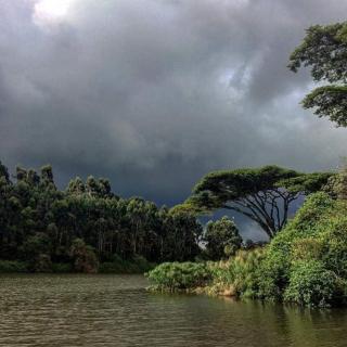 Tigoni gem gardens - Nairobi - 3