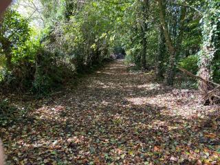 The cottage Greenacre House - Cashel - 9