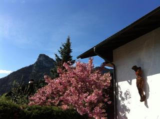 Ferienwohnung AmmerZonas & AmmerZone - Oberammergau - 4