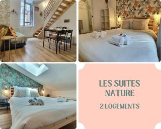Les Suites Nature - 2 Logements - Hyper Centre - Albi - 0