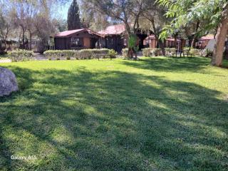 Camping los Gazules - Alcalá de los Gazules - 0