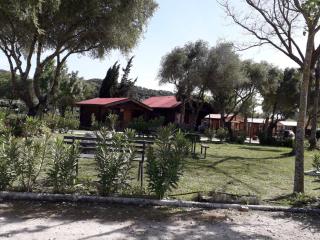 Camping los Gazules - Alcalá de los Gazules - 3