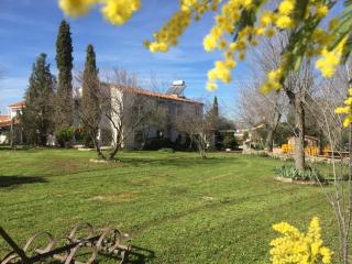Casa Rural Cortijo del Zoco Bajo - Pozoblanco - 9