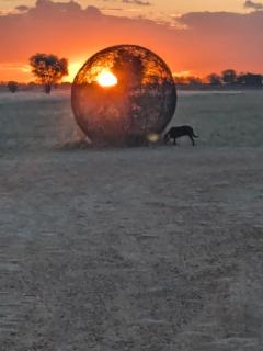 Blackall Caravan Park - 2