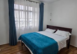 Wilnas Penthouse Apartment - Nairobi - 5