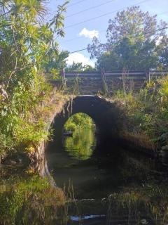 ChassRiverVibes - 5