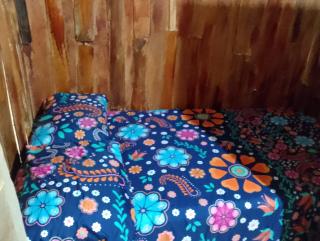 Glamping el Bosque San Luis - San Luis - 5