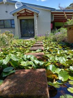 Lobelia Self-catering House - Gansbaai - 6