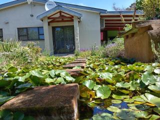 Lobelia Self-catering House - Gansbaai - 8