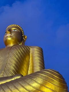 Golden Buddha Holidays - 5