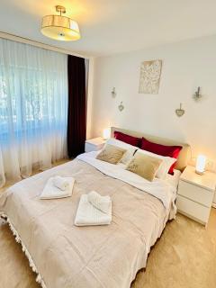 Chic Escape Forest - Brasov - 9