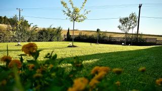 Sunny Private Villa in Sani Beach, 4 bedroom - 6