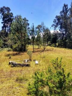 Pequeña y encantadora cabaña en Villa de Leyva - 9