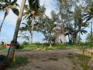 Shoreline Marari Beach Villa at Golden Beach Mararikulam - Mararikulam - 3