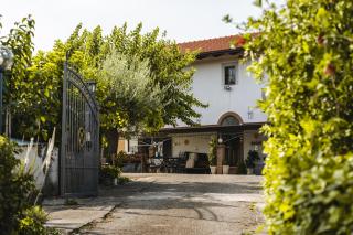 Sentiero Degli Ulivi Mascia - Caiazzo - 4