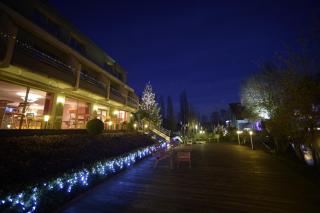 Hotel Du Lac - Guebwiller - 8