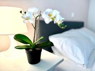 Sun Beach Apartment - Anavissos - 0