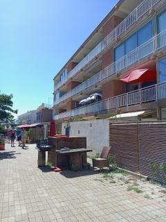 Studio vue mer bord de plage - San-Nicolao - 6