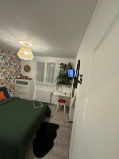 Exotic & Cosy room proche Roissy Cdg Airport - 8