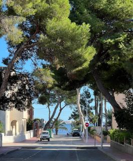 Gardenias Friends&Family Beach Appartment - Santiago de la Ribera - 0