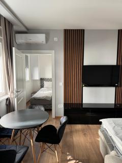 Apartman Benny u srcu Vračara - Belgrade - 0