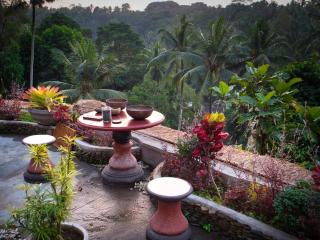 Heaven View 3 BR Ubud Sayan - 4