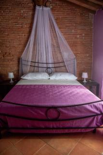 Casa Velò in Centro a Pisa 6 pax - Pisa - 3