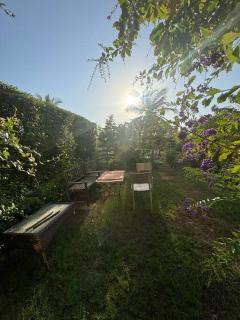 Hawana Salalah Resort - GV7 - 6