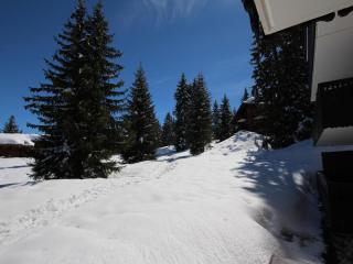 Charmant appart 3 pièces, bien équipé, 4-5 pers, parking, Les Saisies - FR-1-293-208 - Villard-sur-Doron - 1